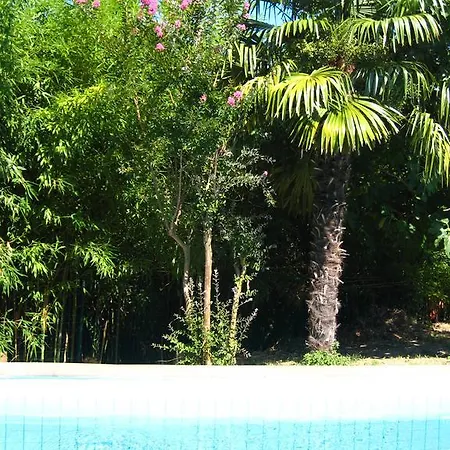 Apollonio Portorož
